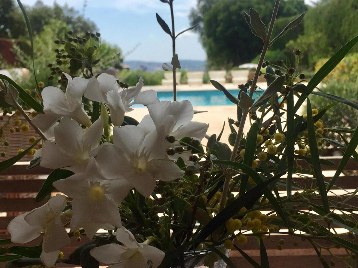 Lovely "Provence" Villa With Sea View, Private Heated Pool, Airco And Beautiful Garden Grimaud Zewnętrze zdjęcie